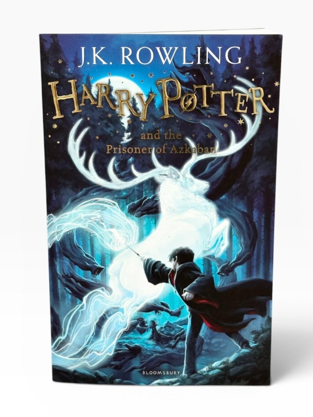 Bloomsbury 2014 Edition Harry Potter Paperback Set - Picture 6 of 15